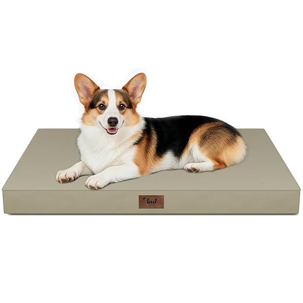 TAIL STORIES LARGE OUTDOOR ALL WEATHER DOG BED,...