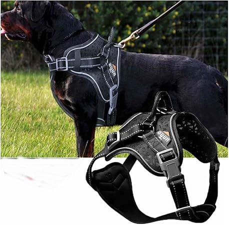 k9 training harness
