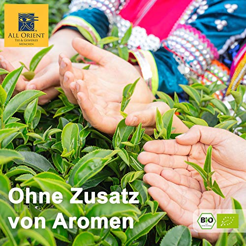 All Orient BIO Sencha | 100g | Grüner Tee lose | China Sencha Superior | Provinz Zhejiang | Grünteemischung | Naturbelassen | Ohne Zusatz von Aromen – Bild 7