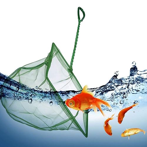 Aquarium Fishing Net Fish Tank Net Green Fine Mesh Net with Plastic Handle 6 Inch in Saudi Arabia | Whizz Aquarium Nets Aquarium Fishing Net Fish Tank Net Green Fine Mesh Net with Plastic Handle 6 Inch in Saudi Arabia | Whizz Aquarium Nets