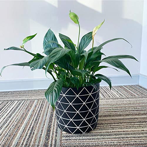 GEPEGE Cement Succulent Planter 6 Inch Flower Pot, Concrete Modern Planter - Thumbnail 6