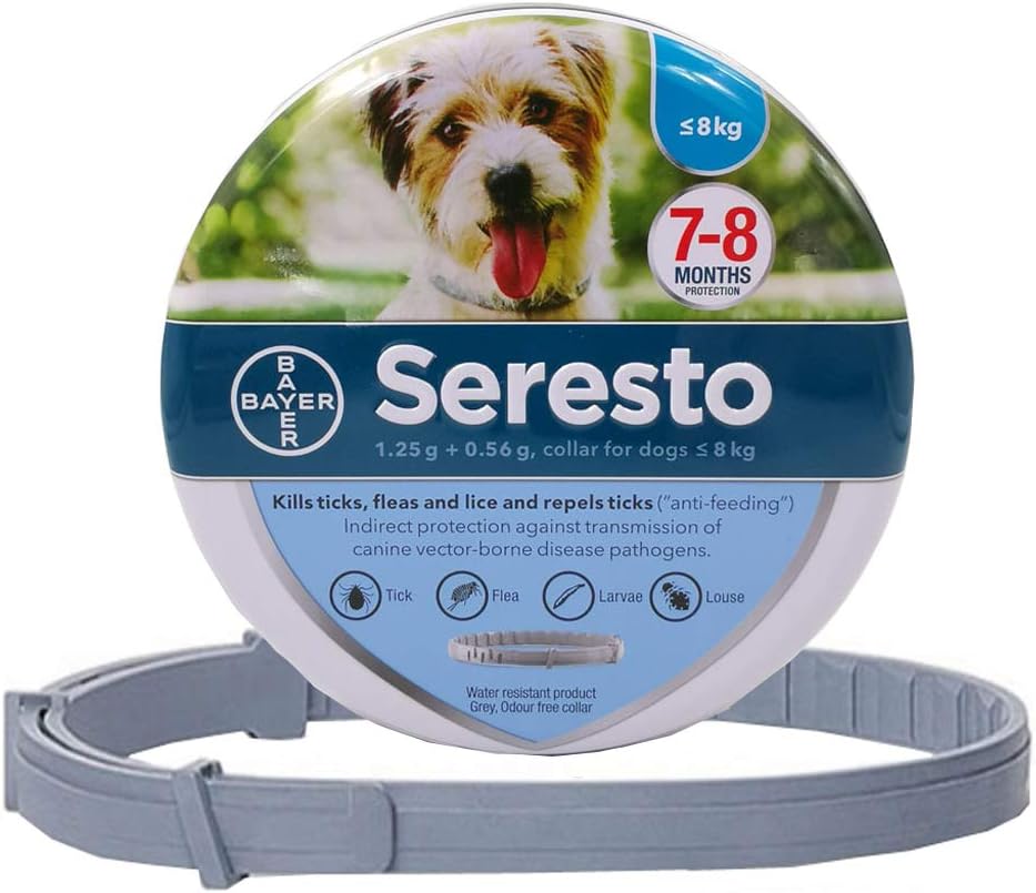 collar antiparasitario en invierno