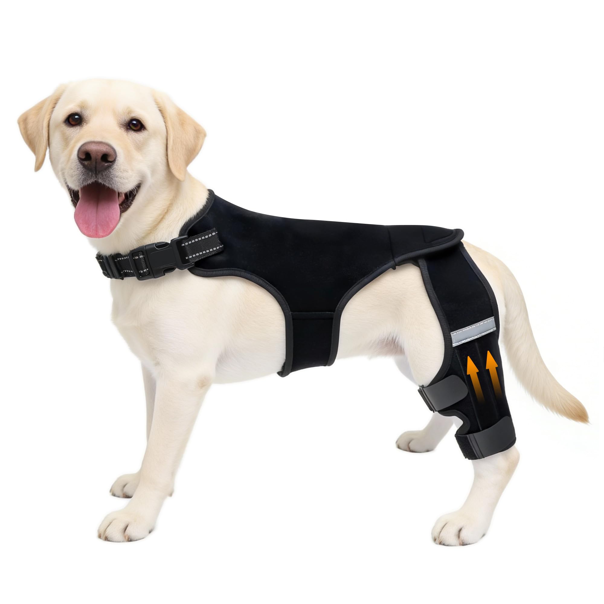 Photo 1 of ALYBIT Dog Knee Braces for Torn ACL Hind Leg, Adjustable Dog Leg Braces for Back Leg with 4 Stabilizers for Luxating Patella Relieves Ligament Injury and Joint Pain