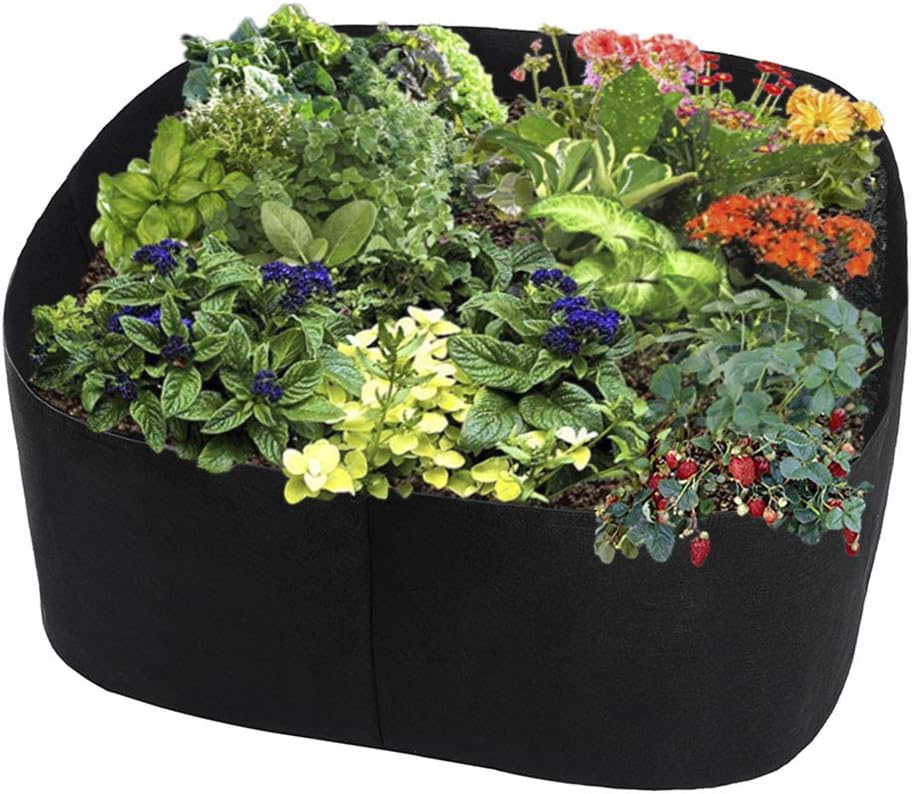 DAMEING Fabric Raised Garden Bed, Rectangle Planter Grow Bags, Plant Pot for Herb Flower Vegetable Plants (2 x 2ft)
