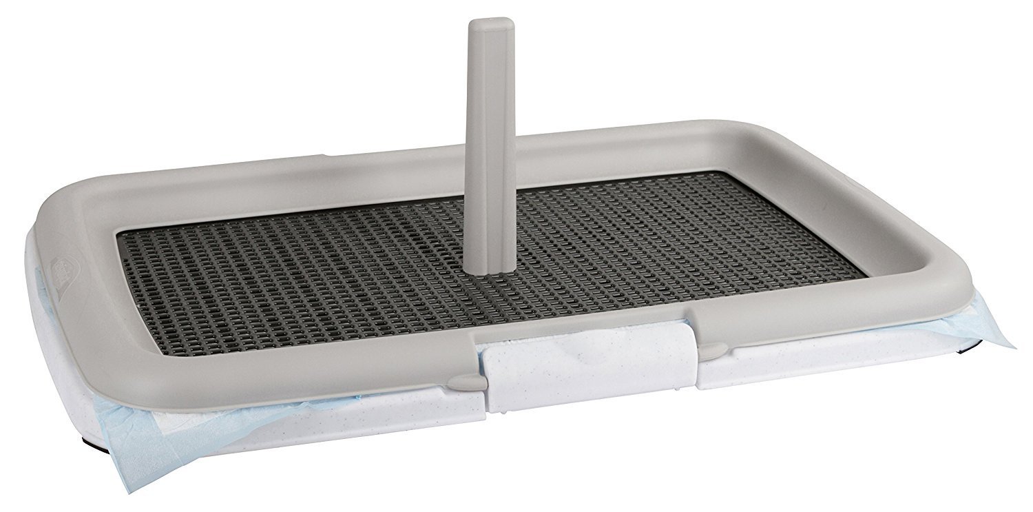 Лоток Для Собаки Купить В Омске