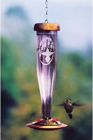 Amazon Com Schrodt Amethyst Etched Lantern Hummingbird Bird