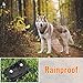 Petrainer PET998DRU1 Dog Training Collar with Remote Shock Collar for Dogs Bark Collar with Beep Vibration Shock Electric Dog E Collar, 1000FT Remote Rangethumb 4