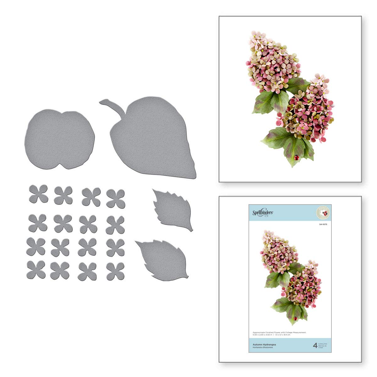 Spellbinders Etched Dies Tierney-Cockburn Hydrangea-Susan's Autumn Flora, Multi, 1 S4-1073