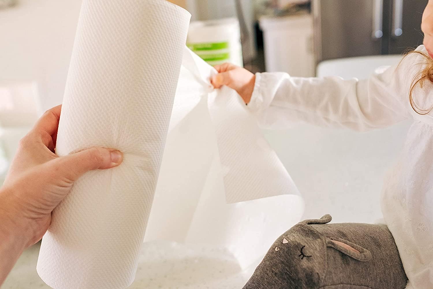 Caboo Tree Free Bamboo Paper Towels, 6 Rolls, Earth Friendly Sustainable Kitchen Paper Towels with Strong 2 Ply Sheets: Health & Personal Care