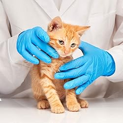 Basic Medical Blue Nitrile Exam Gloves - Latex-Free