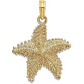 JewelryWeb 14k Gold Sea shell Nautical Starfish With Beaded Texture Charm 25x19.9mm Wide 1.9mm Thick Pendant Necklace for Women