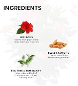 Vatika Naturals Hibiscus Multivitamin Hair Oil 200ml with Tea Tree & Rosemary view 4