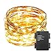 ER CHEN Indoor and Outdoor Waterproof Battery Operated 100 LED String Lights on 33 Ft Long Ultra Thin Copper String Wire with Timer (Warm White)