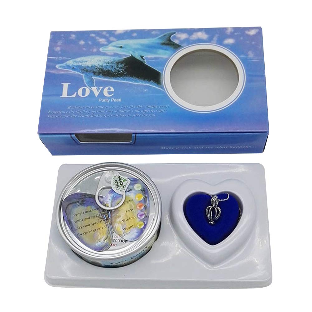 Love Wish Pearl in Oyster Kit - DIY Creative Necklace Jewelry Gift Set, Fashion Creations Box With Pendant for Women Girls