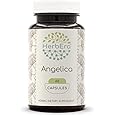 HerbEra Angelica 60 Capsules, 500 mg, Concentrated Liquid Drops Natural Angelica (Angelica archangelica) Dried Root (60 Capsules)