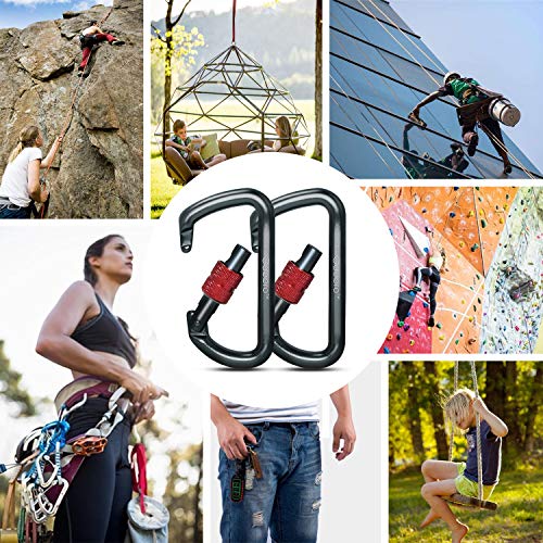 Carabiner, GABBRO 12KN/2697lbs Screwgate D-Ring Carabiner Clip, 3/4 oz Aircraft Grade Aluminum, Heavy Duty Caribeaners for Hammocks Tarp Swing Dog Leash Keychain Camping, NOT for Climbing (2 Pcs/Gray) - Thumbnail 6