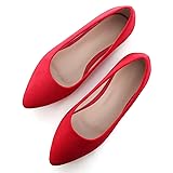 ChaiRong Zhou Women Comfort Pointed Toe Ballets