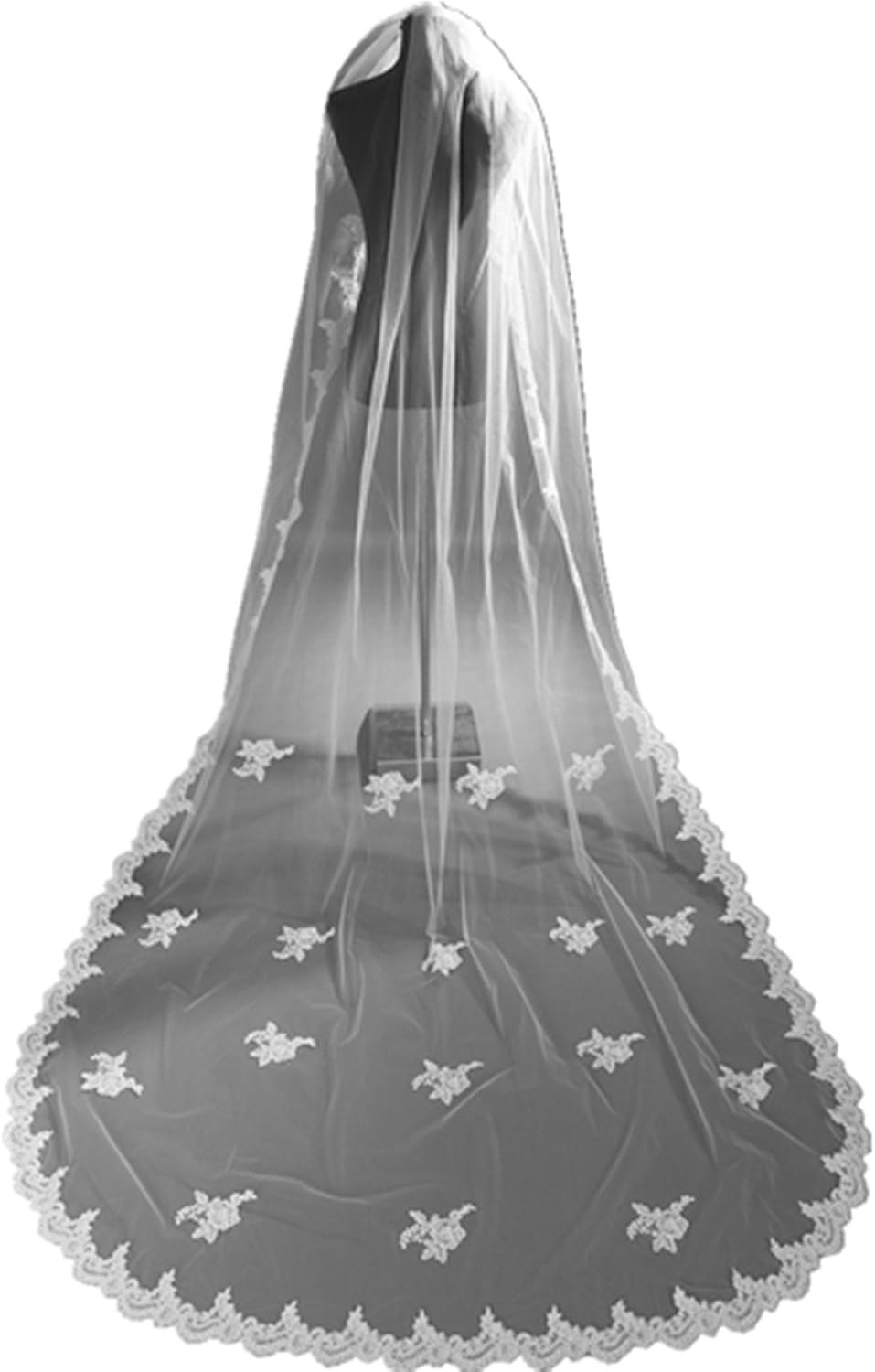 Tulle lace wedding veils three meters long bridal veil with appliques