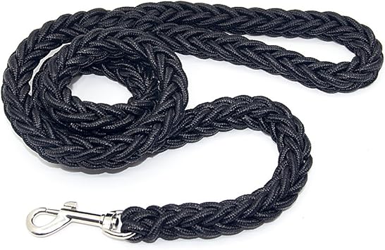 Amazon Shenmate 犬用リード 滑り止め 人工編み ナイロン製 100kgの力に耐える お散歩 訓練 お出掛け用 小型犬 中型犬 大型犬に向け 柴犬 秋田犬 牽引ロープ M Shenmate 首輪 ハーネス リード 通販