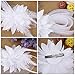 Women's Fascinators Hat Small Hairpin Feather Mesh Flower Hairclip (Z White)