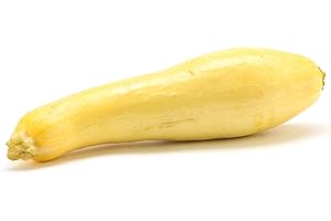 BRANDYWINE GARDENING Squash, Early Prolific Straightneck Squash Seed, Organic, NON-GMO, 25 Seeds per Package.