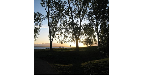 Living Breathing By Mesita On Amazon Music Amazon Com living breathing by mesita on amazon