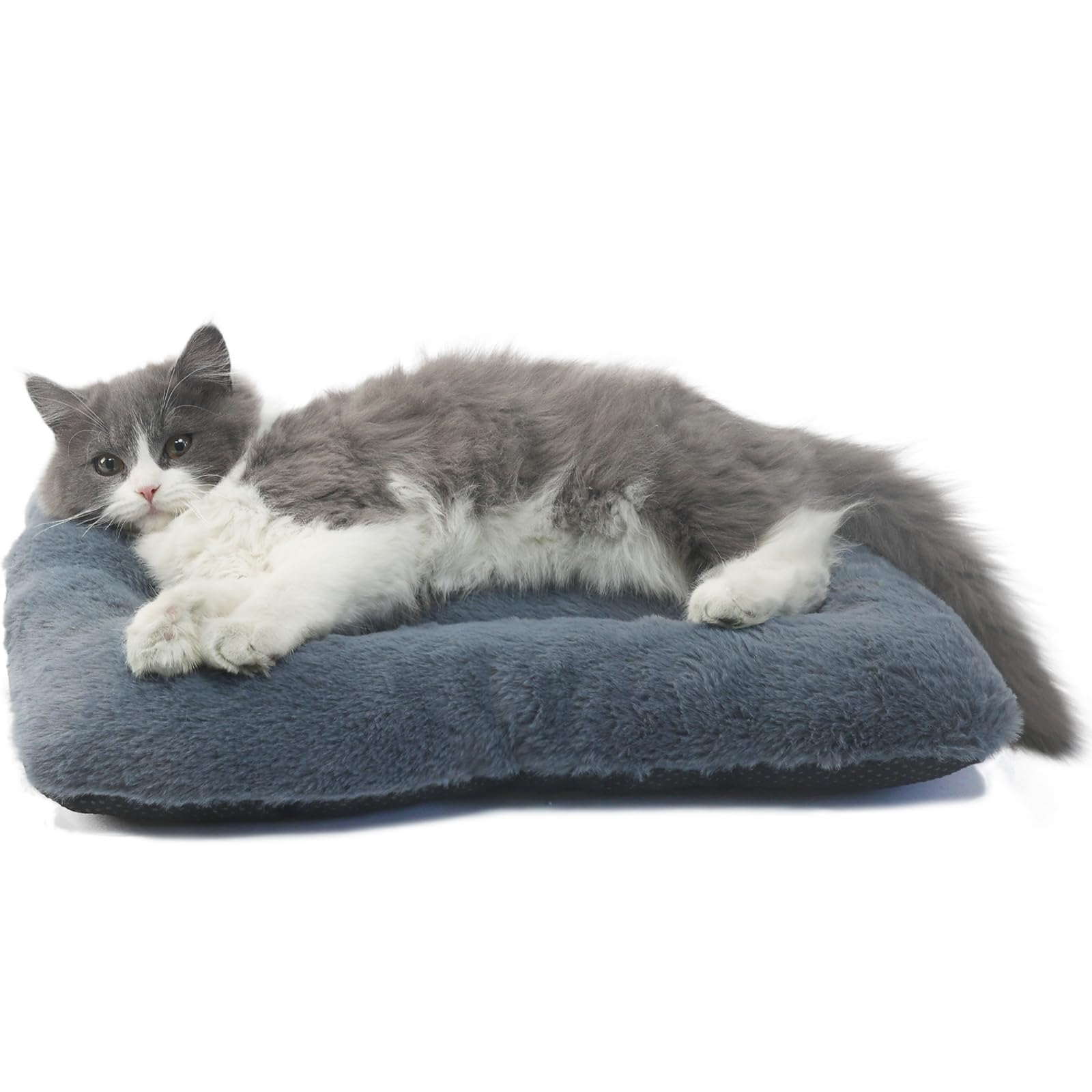Photo 1 of Dog Crate Bed 18 x 12 Washable Dog Beds for XX-Small Dogs Deluxe Thick Soft Fluffy Comfy Kennel Pad Anti-Slip & Anti-Scratch Pet Sleeping Mat for Cats and Extra Small Dogs Breeds,18 Inch,Dark Grey