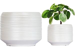 Gepege 6 Inch + 4 inch Ceramic Plant Pots for Indoor Plants, Small Large Round Succulent Orchids Flower Pot with Drainage Holes, White
