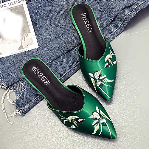 image for GHrcvdhw Women Shoes Stylish Cozy Cloth Fabric Embroidery Flower Slipp