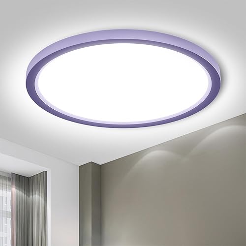 LQWELL® LED Ceiling Light, IP44 Waterproof Bathroom Lamp Round Flat 18W 6000K 1600LM Modern Simple Thin for Living Room Bedroom Kitchen, 220 * 24mm (Purple)