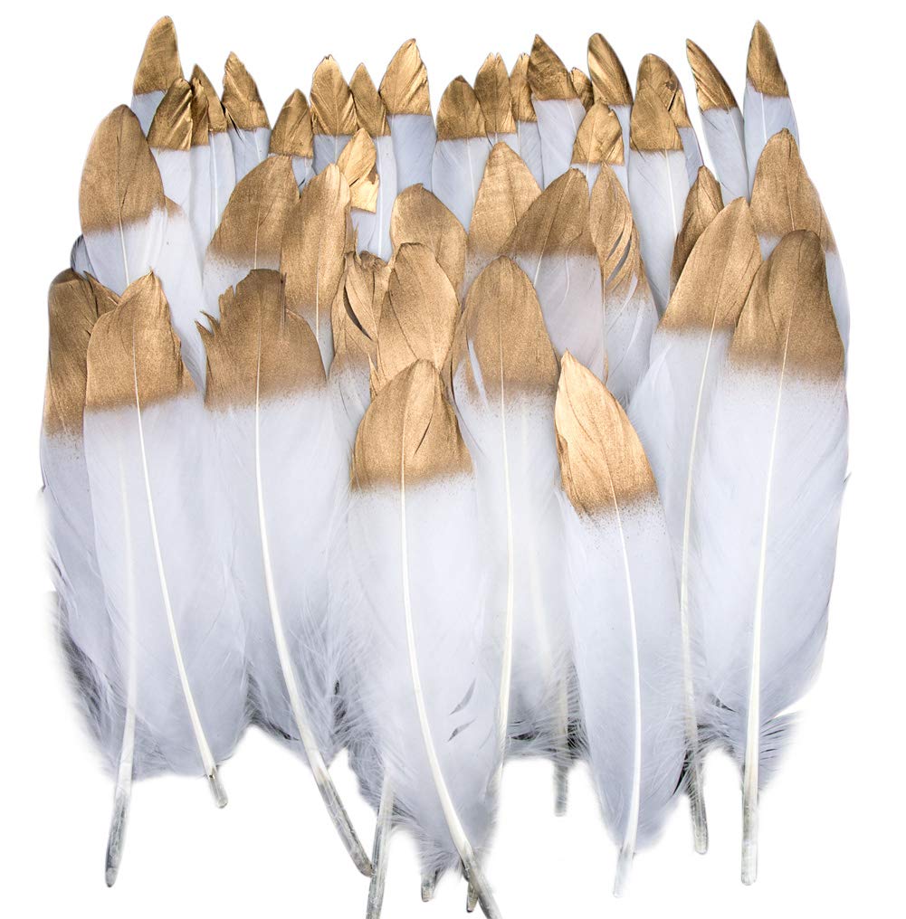 Coloured Feathers, 40 Pieces White Gold Dipped Feather Decoration, Ideal for Costumes, Hats, Home Decoration, Party, Wedding, Birthday, Multi-Coloured