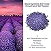 Finewind Hard Wax Beans Hard Body Wax Beans, Hair Removal Brazilian Pearl Depilatory Wax European Beads for Women Men