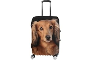 YTLKGFP Long Haired Dachshund Luggage Cover Washable Suitcase Cover Protector Elastic Anti-Scratch for 18-32 Inch Luggage, wh