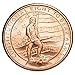 1 oz .999 Pure Copper Round/Challenge Coin (Second Amendment)