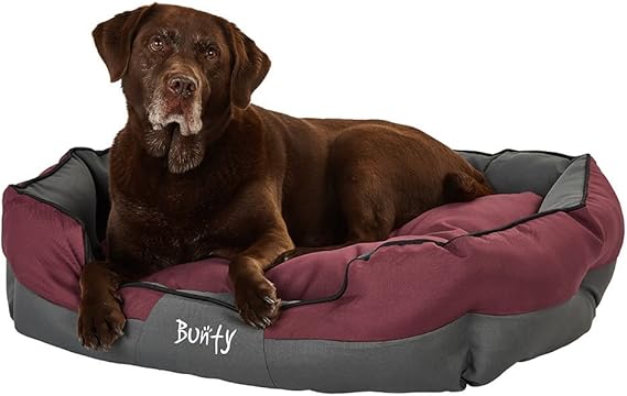 stop my dog barking at other dogs