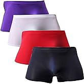 WINDAY Men Briefs Breathable Ice Silk Boxer Bikinis and Briefs N05