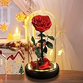 Valentines Day Gifts for Her,Valentines Flowers for Delivery Prime,Beauty and The Beast Rose in Glass Dome,Birthday Gifts for Women Her Mom Wife Girlfriend Grandma on Mother‘s Day Anniversary