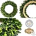 Olive Branch Home Preserved Boxwood Wreath With Gift Box, Large Indoor Year Round Green Wreath (20 Inch Round)