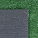 Ottomanson Artificial Grass Turf 3'11