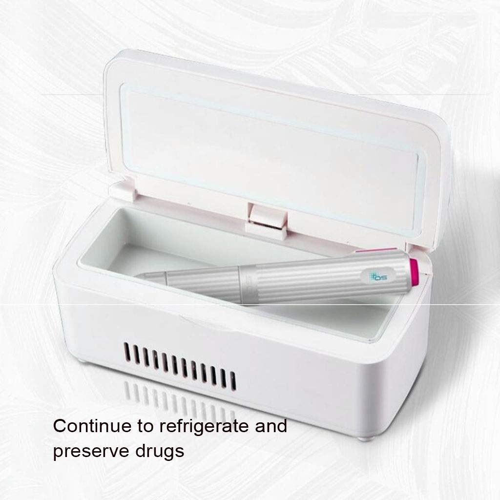 WYJW Mini refrigeradores Insulina Caja refrigerada Portátil ...