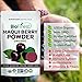Biofinest Maqui Berry Juice Powder - 100% Pure Freeze-Dried Antioxidants Superfood - USDA Organic Vegan Raw Non-GMO - Boost Digestion Weight Loss - for Smoothie Beverage Blend (4 oz Resealable Bag)