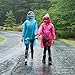 Panamint Emergency Rain Poncho Family Pack Disposable Plastic Rain Coat Ponchos for Hiking, Camping & Outdoor Events - 8 Pack of Hooded Ponchos with 4 Adult Ponchos for Men & Women & 4 Kids Ponchos