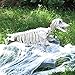 Halloween Decoration 23” Pose-N-Stay Wiener Dog Skeleton Plastic Puppy Bones with Posable Joints for Pose Skeleton Prop Indoor/Outdoor Spooky Scene Party Favors Décor.