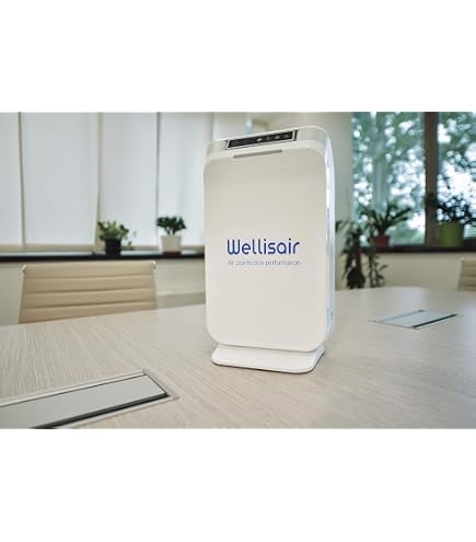 Amazon.com: Wellis Air Purifier for Home Bedroom Living Room