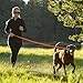 RUFFWEAR - Roamer Leash, Obsidian Black, Medium