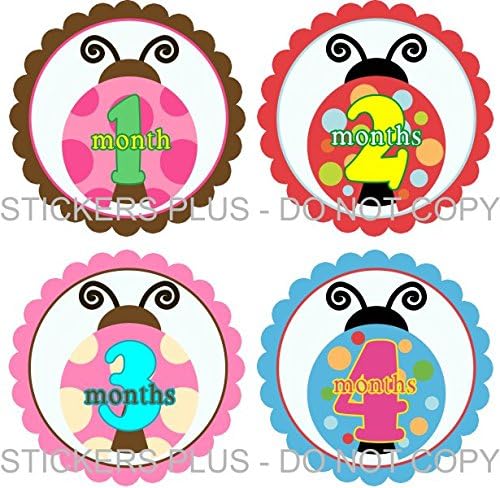 Baby Girl Month Stickers Monthly Baby Milestone Stickers Ladybug Lady Bug Colorful All Different