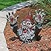 Design Toscano CL6565 Zombie Gnombie Graveyard Garden Gnome Statue, 11½