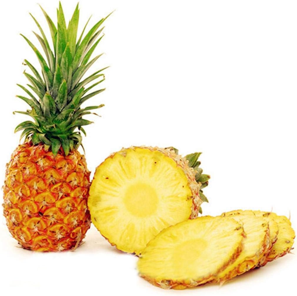 Ncient 100 Unids Semillas Piña Semillas Comestibles Frutas de ...
