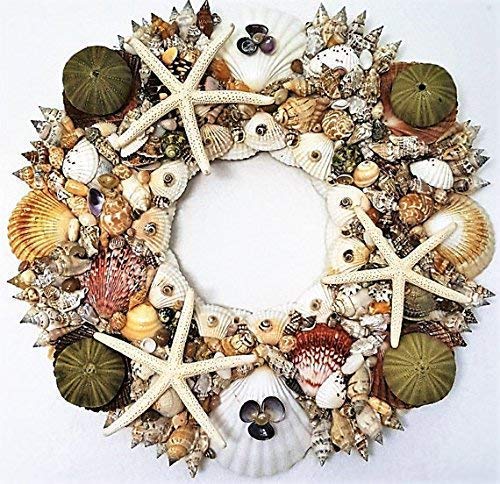 Amazon Com Sea Shell Wreath With 3 Different Designs And Sizes