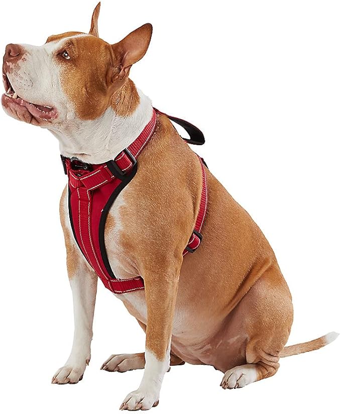 kong small harness